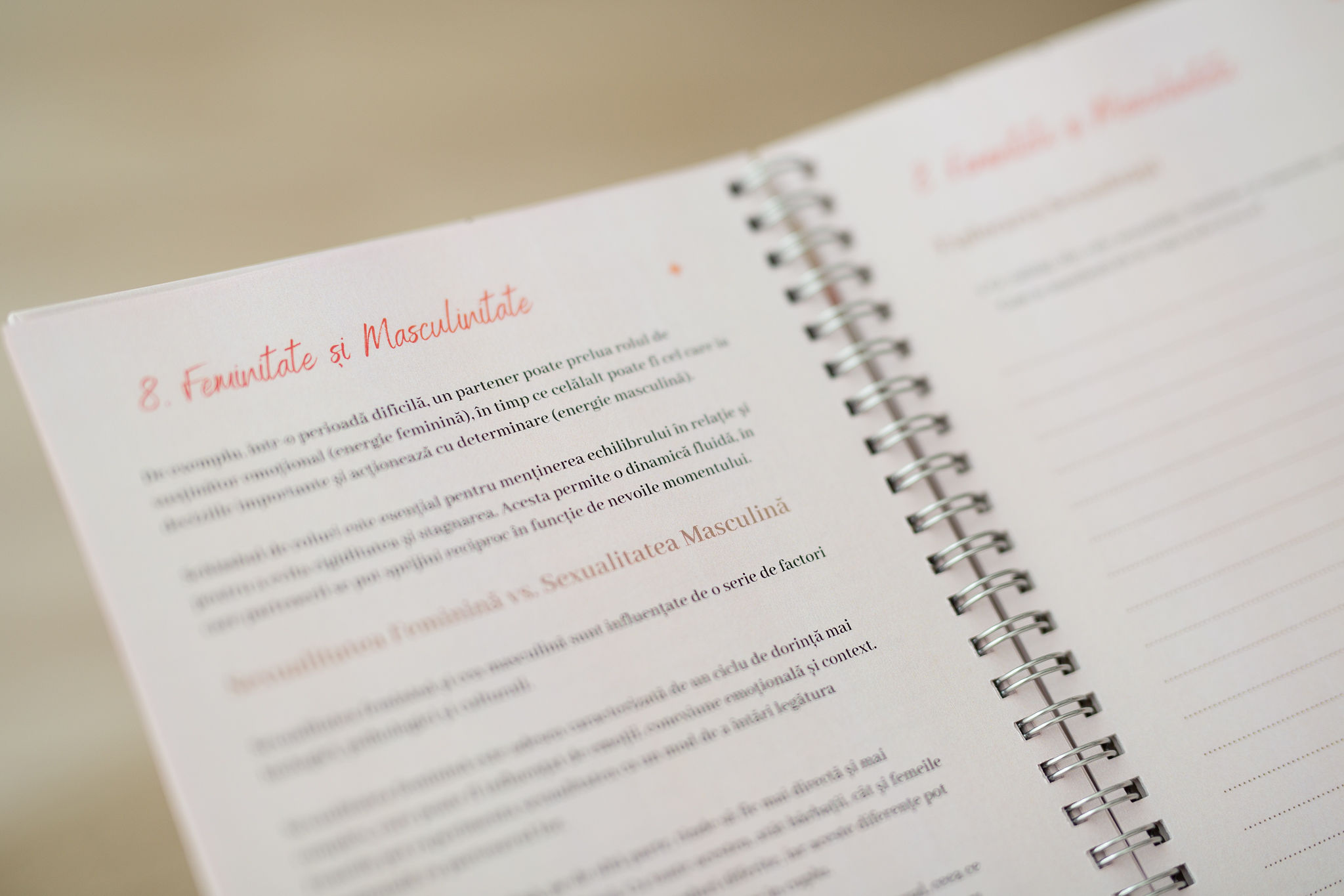 Jurnalul Relațiilor Mele Daisy Iordan